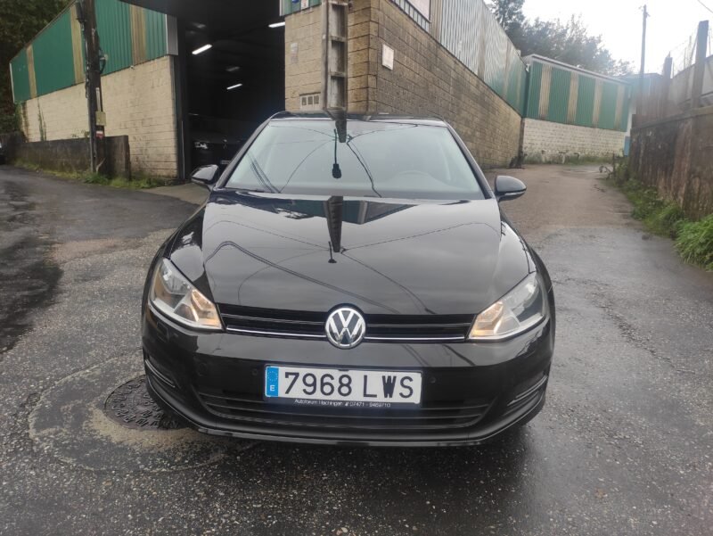 VOLKSWAGEN GOLF VII Business 1.6 TDI 105 cv Bluemotion 5p.