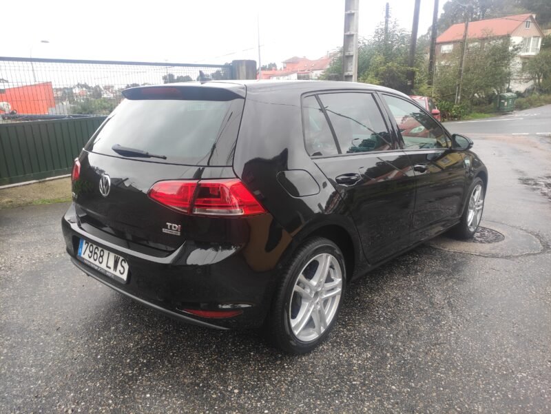 VOLKSWAGEN GOLF VII Business 1.6 TDI 105 cv Bluemotion 5p.
